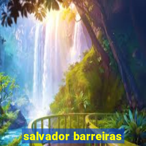 salvador barreiras